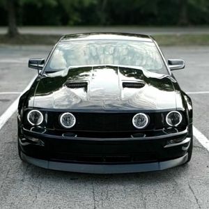 Meet your Posher, Dylan